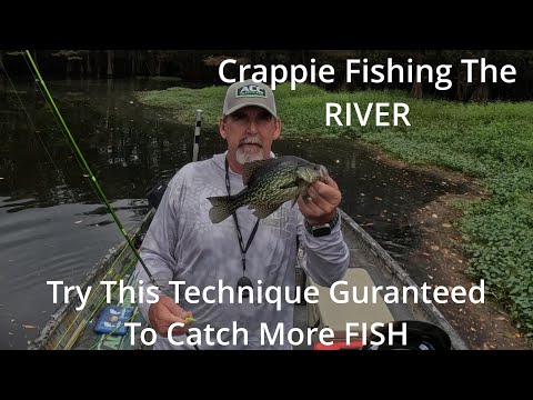 River Crappie Fishing with Jigs Best Jigging Techniques for Big Slabs