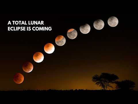 Watch This Before The Moon Turns Blood Red on March 14 | Total Lunar Eclipse 2025