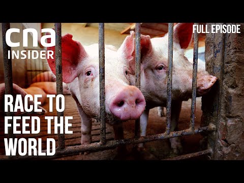 Feeding Asia: Towards A Future Without Disease &amp; Outbreaks | Race To Feed The World | Part 3/3