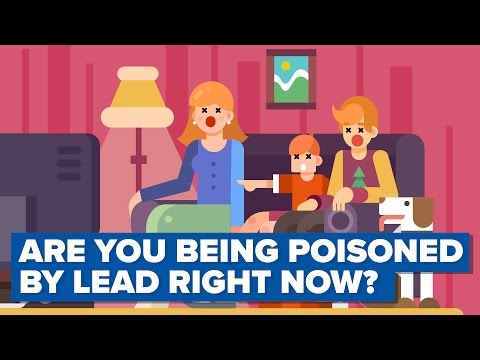 Lead Poisoning Will Make You Go Crazy - What Are The Chances You Are Being Poisoned Right Now?